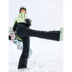 Pantalon De Ski|Pantalon De Ski Femme<Roxy Pantalon Ski Gore-Tex Stretch Spridle True Black