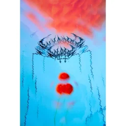 Hot Planche Snowboard Gloss Femme Snowboard Femme|Créez Votre Pack