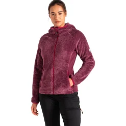Sale Polaire Womens Pro Torrek Midlayer Fig Femme Polaire Femme|Veste De Ski