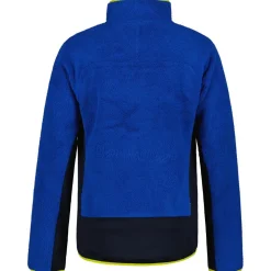 Polaire Homme|Veste De Ski<Icepeak Polaire Danby Bleu