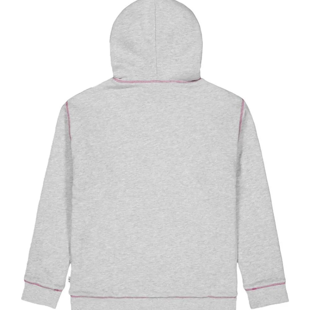 Veste De Ski|Polaire Femme<Picture Polaire Basement Plush Z Grey Melange