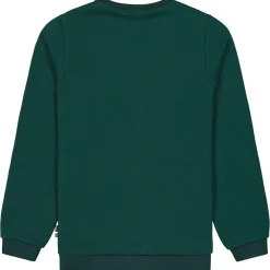 Veste De Ski|Polaire Homme<Picture Polaire Tofu Sweater Ponderosa Pine