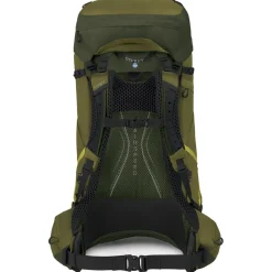 Discount Sac à dos Atmos Ag Lt 65 Scenic Valley Green Peppercorn Homme Sac À Dos Randonnée|Sac Randonnée Homme