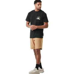 Pantalon - Short<Picture Short Aldos Shorts Dark Stone