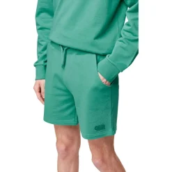 Pantalon - Short<Picture Short Augusto Spectra Green