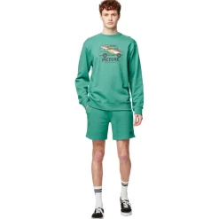 Pantalon - Short<Picture Short Augusto Spectra Green