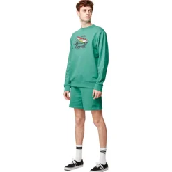 Pantalon - Short<Picture Short Augusto Spectra Green