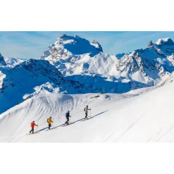 Créez Votre Pack<Majesty Ski Havoc 100 Carbon