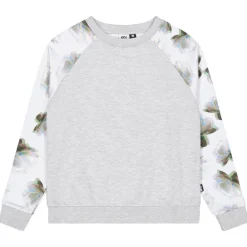 Sweat - Pull - Poncho<Picture Sweat Blayr Crew Grey Melange