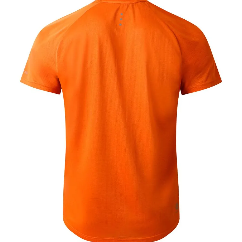 Clearance Tee-shirt de rando Accelerate Tee Spicy Route T-Shirt Trail|T-Shirt Randonnée
