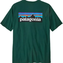 T-Shirt Randonnée<Patagonia Tee-shirt de rando P-6 Logo Responsibili-Tee Cascade Green
