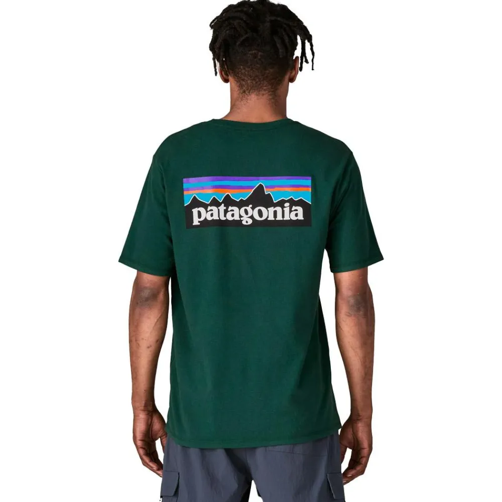 T-Shirt Randonnée<Patagonia Tee-shirt de rando P-6 Logo Responsibili-Tee Cascade Green